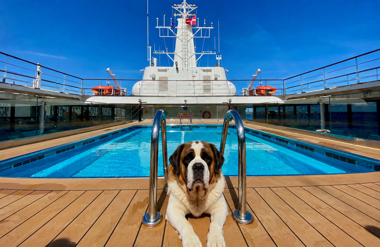 Hund liegt an Bord eines Kreuzfahrtschiffes am Pooldeck als Symbol für hundefreundliche Schiffsreisen